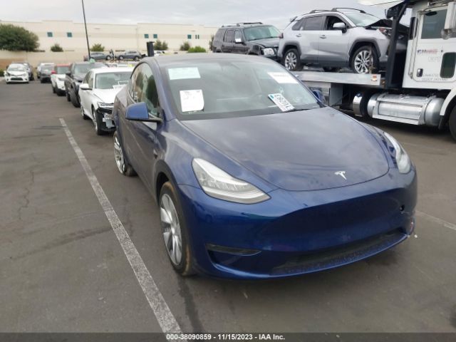 2023 tesla model y