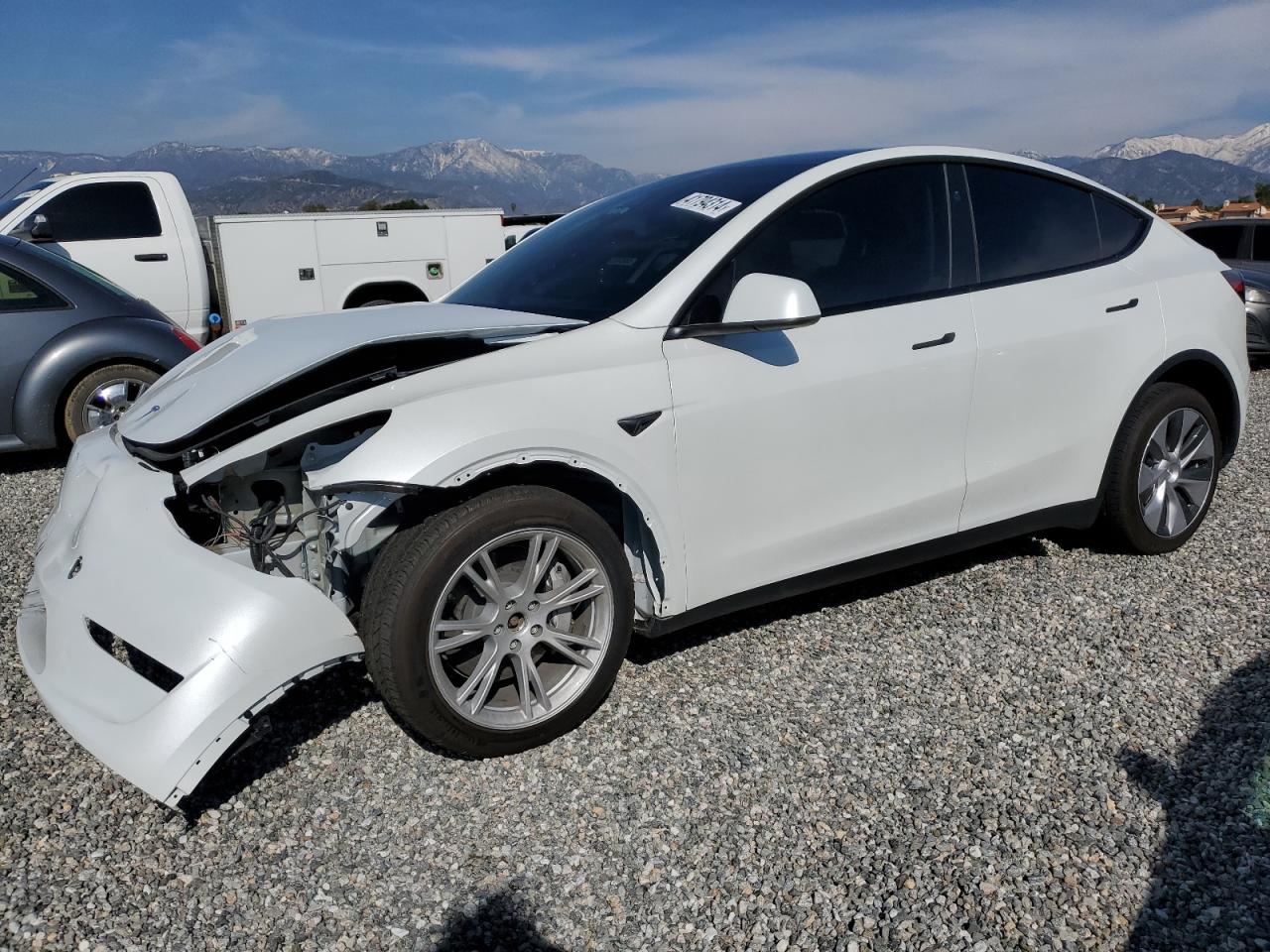 2023 tesla model y