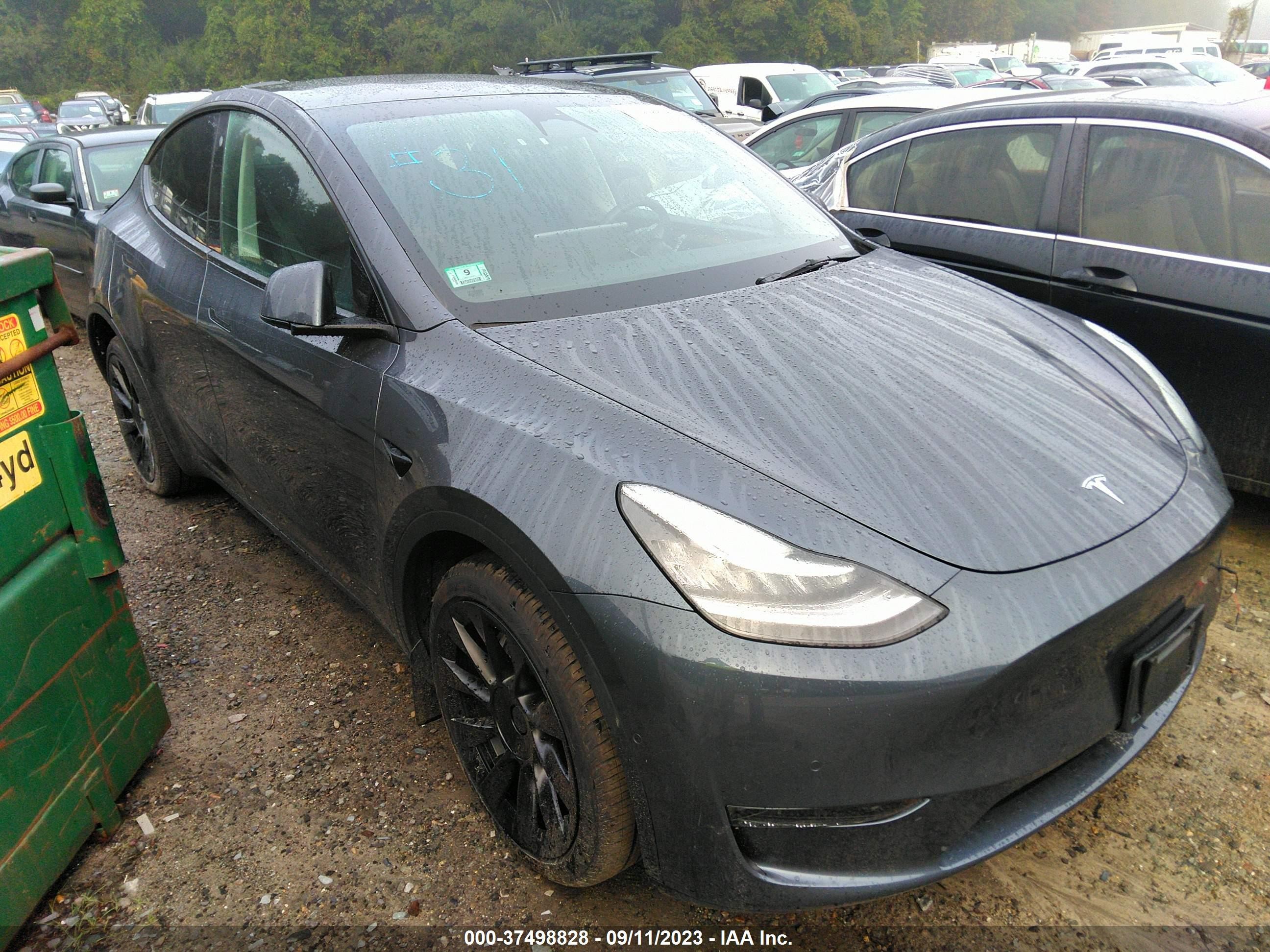 2022 tesla model y
