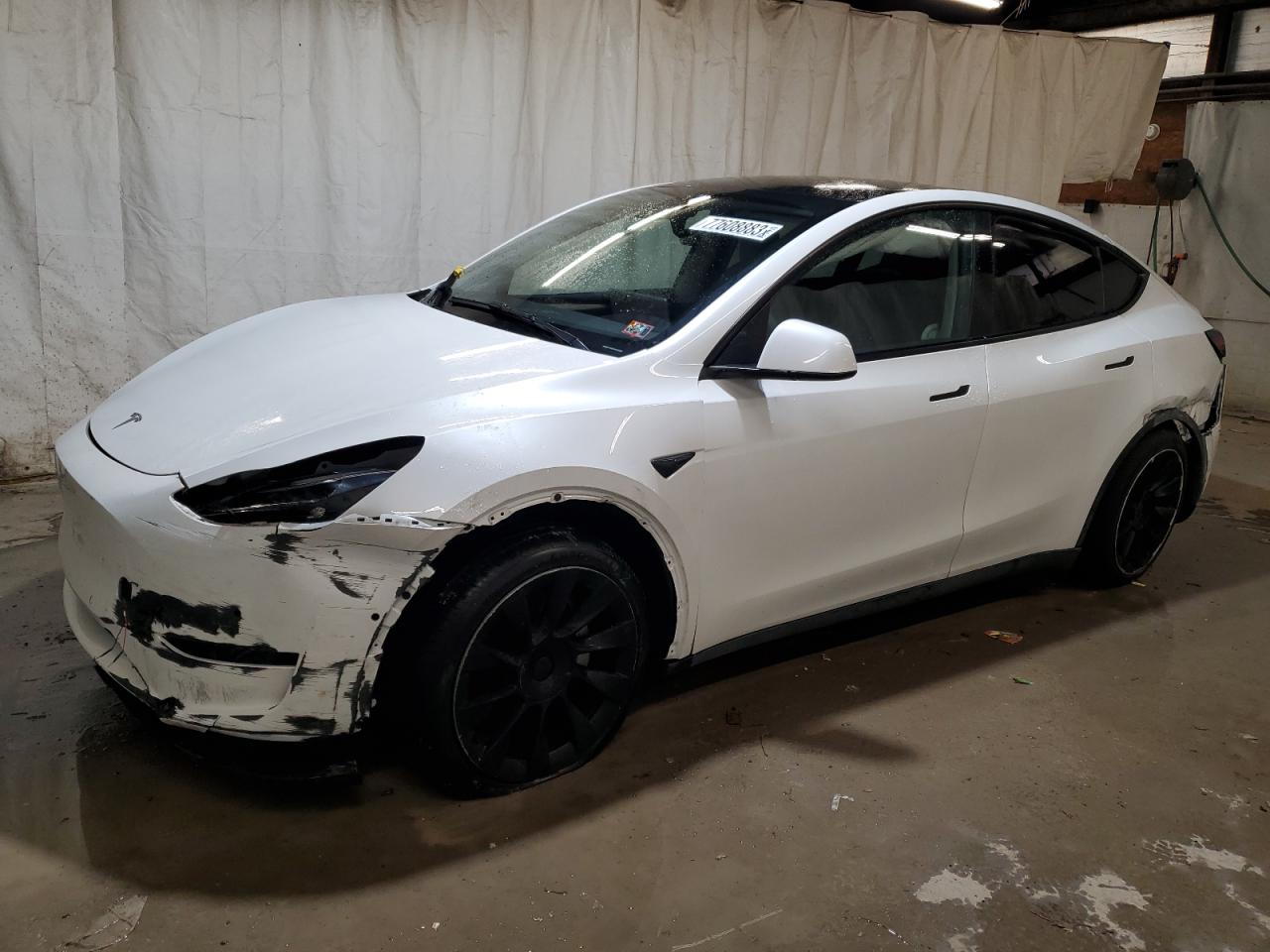 2022 tesla model y