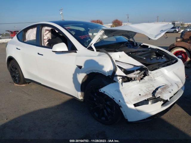 2021 tesla model y
