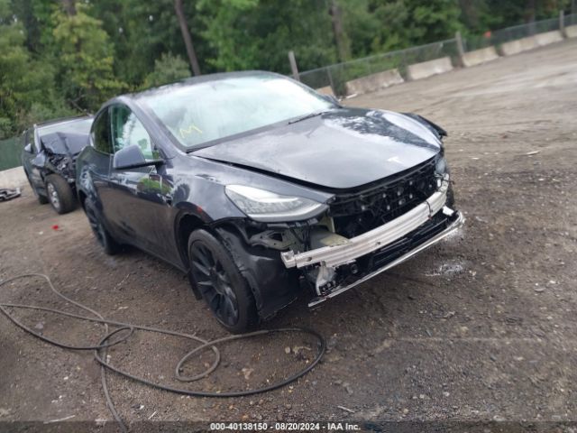 2022 TESLA Model Y