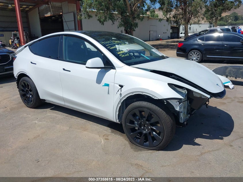 2023 tesla model y
