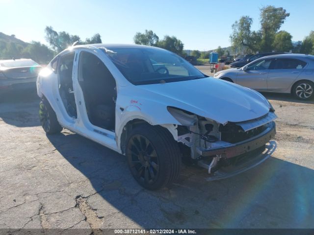 2023 TESLA Model Y