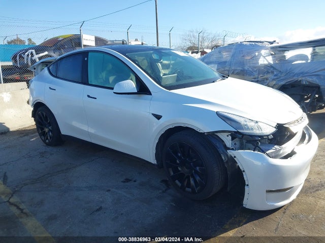 2023 tesla model y