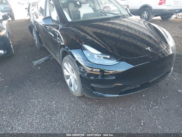 2023 tesla model y