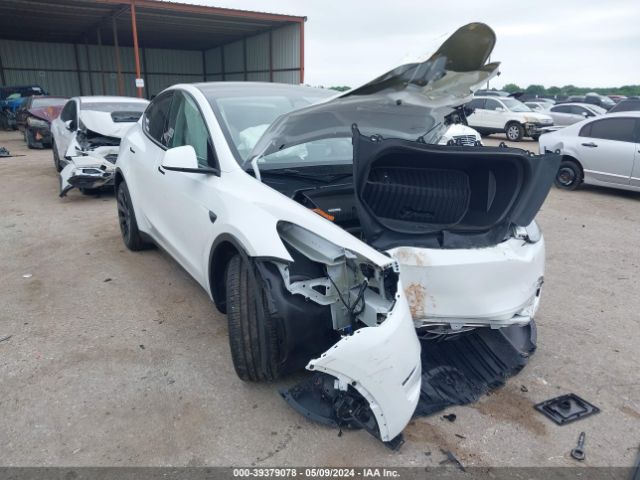 2024 TESLA Model Y