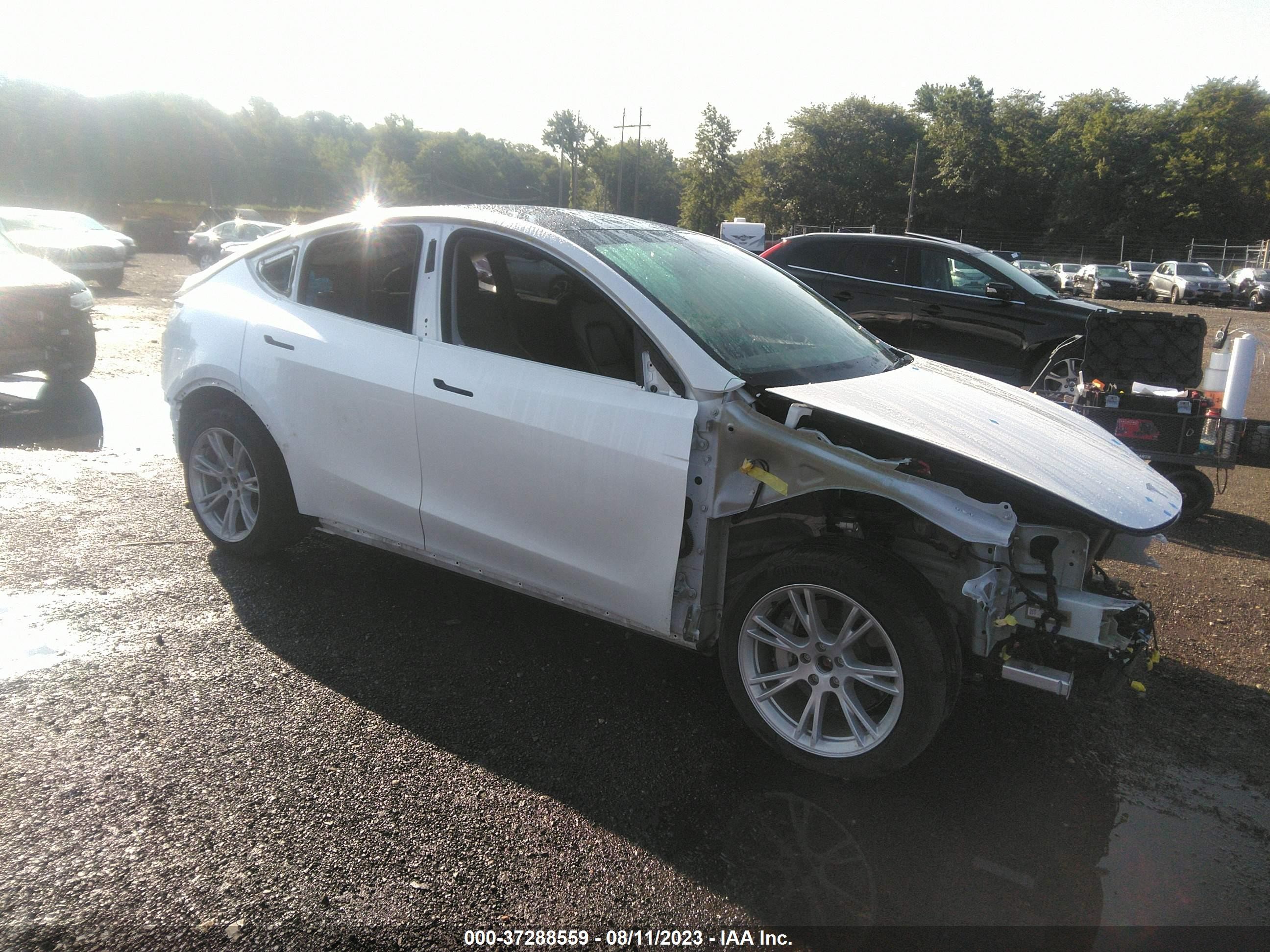 2022 tesla model y