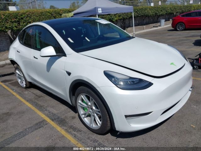 2022 TESLA Model Y