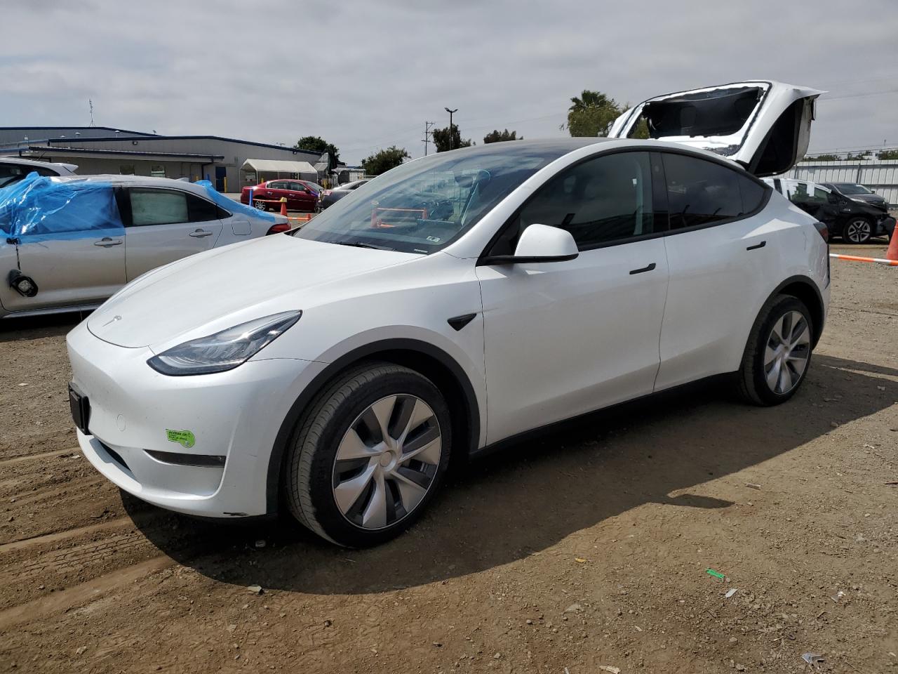 2023 tesla model y