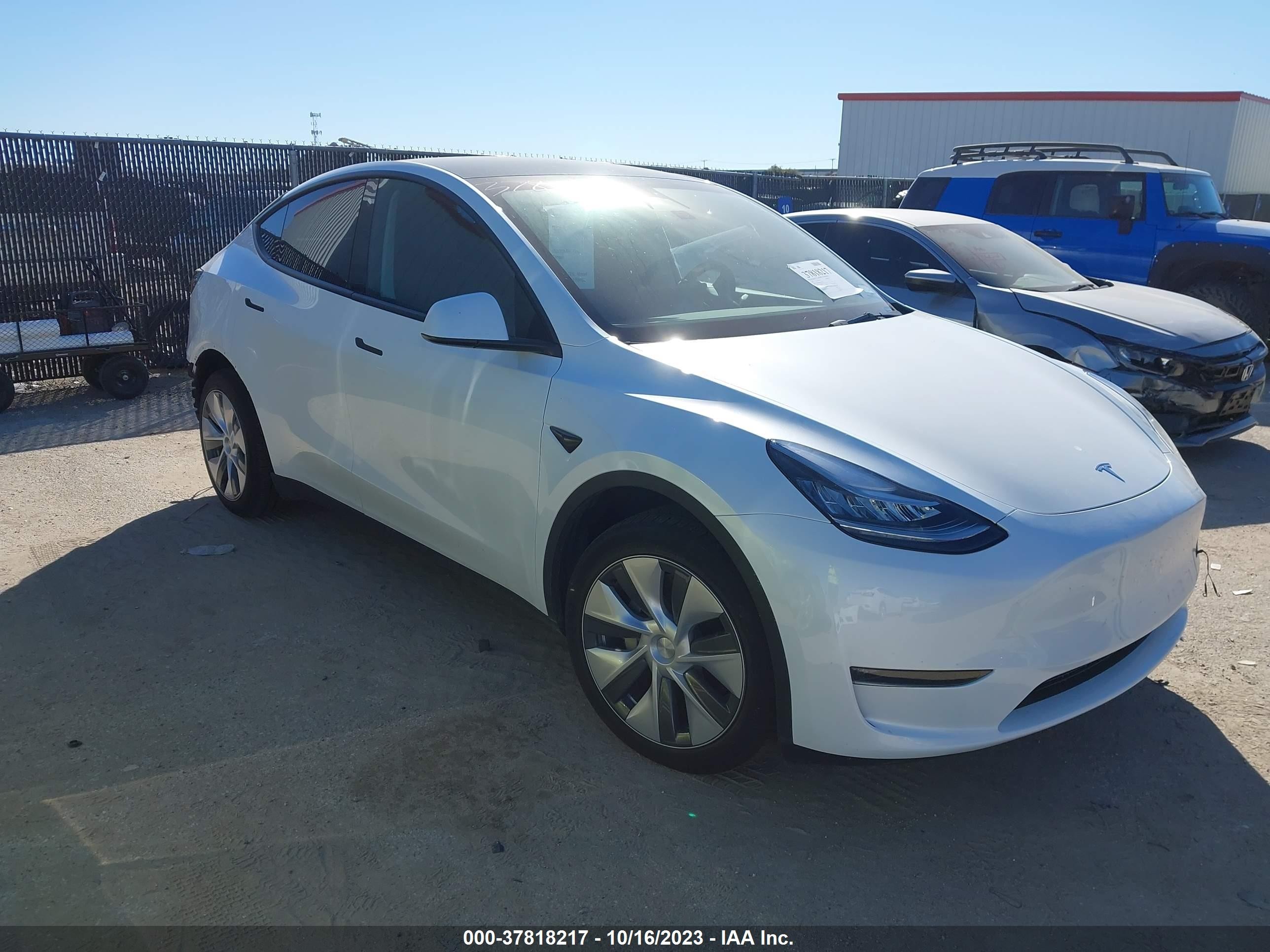 2023 tesla model y