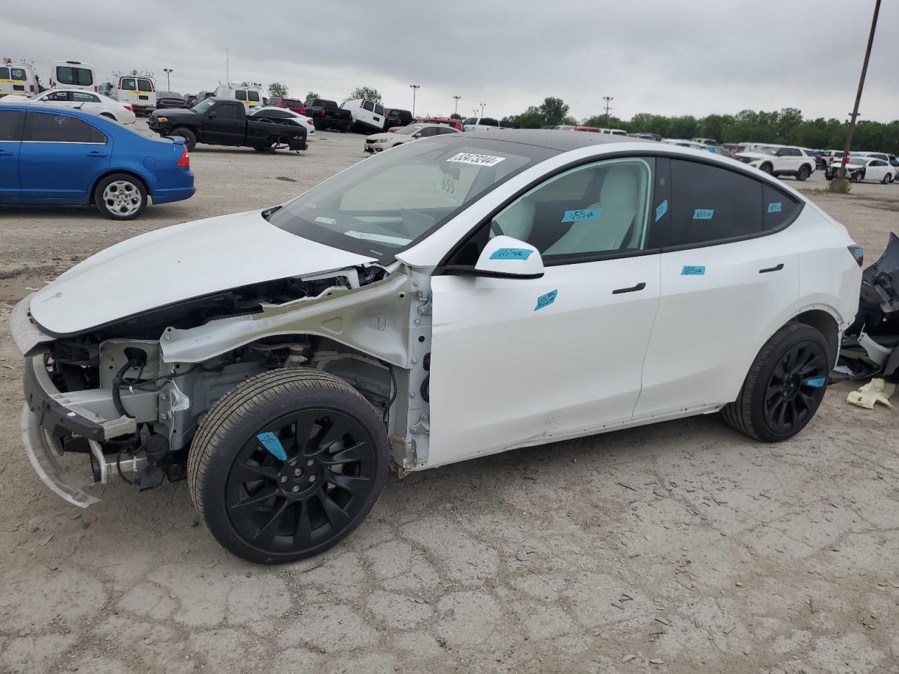 2023 tesla model y