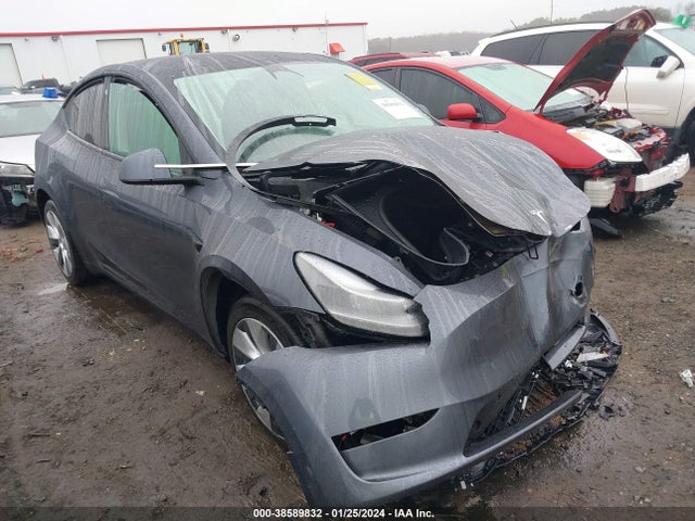 2023 tesla model y