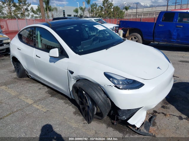 2022 tesla model y
