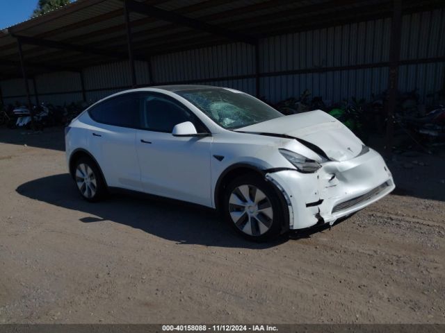 2022 TESLA Model Y