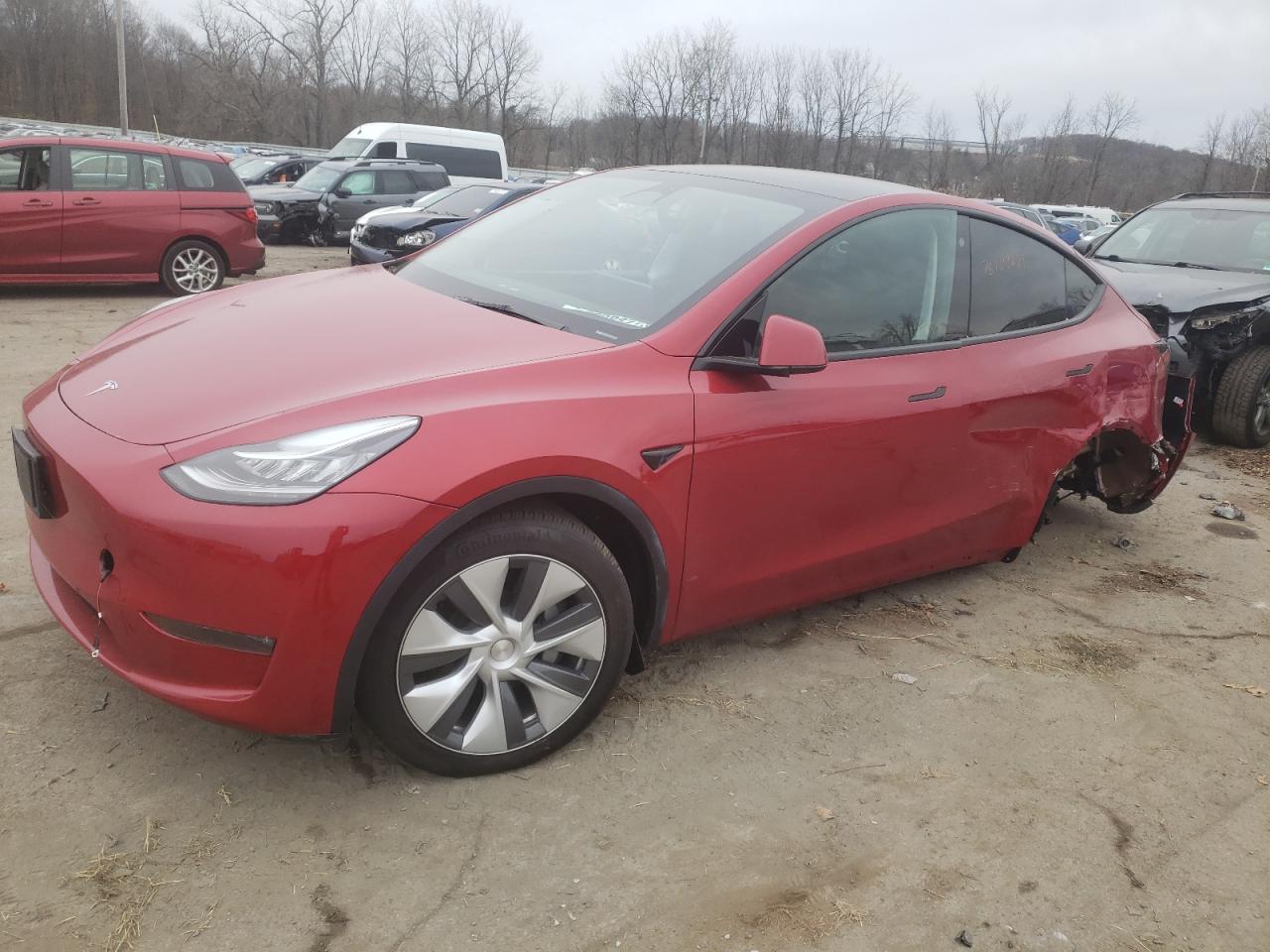 2023 tesla model y