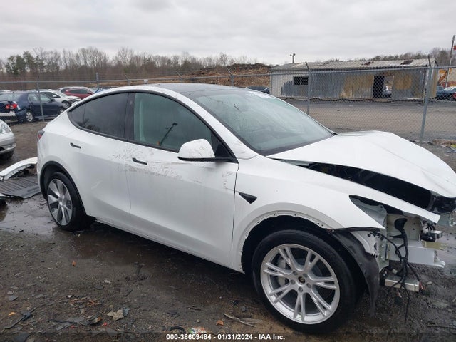 2023 tesla model y
