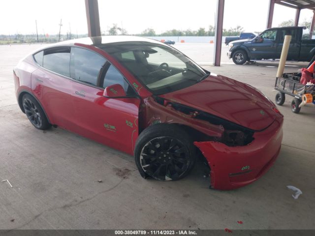 2022 tesla model y