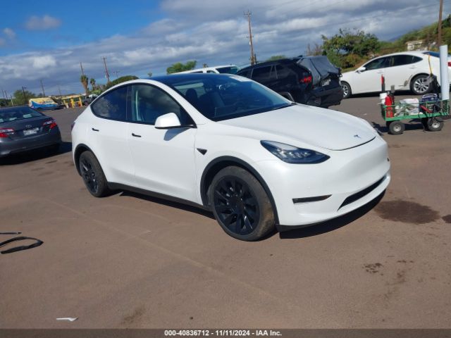 2022 TESLA Model Y