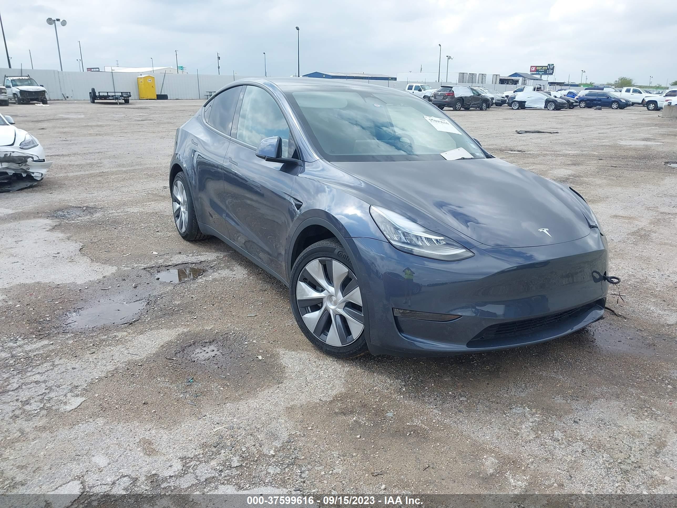 2023 tesla model y