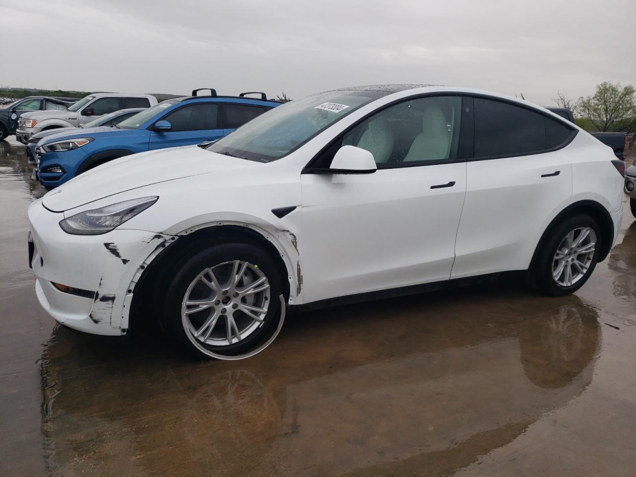 2023 tesla model y