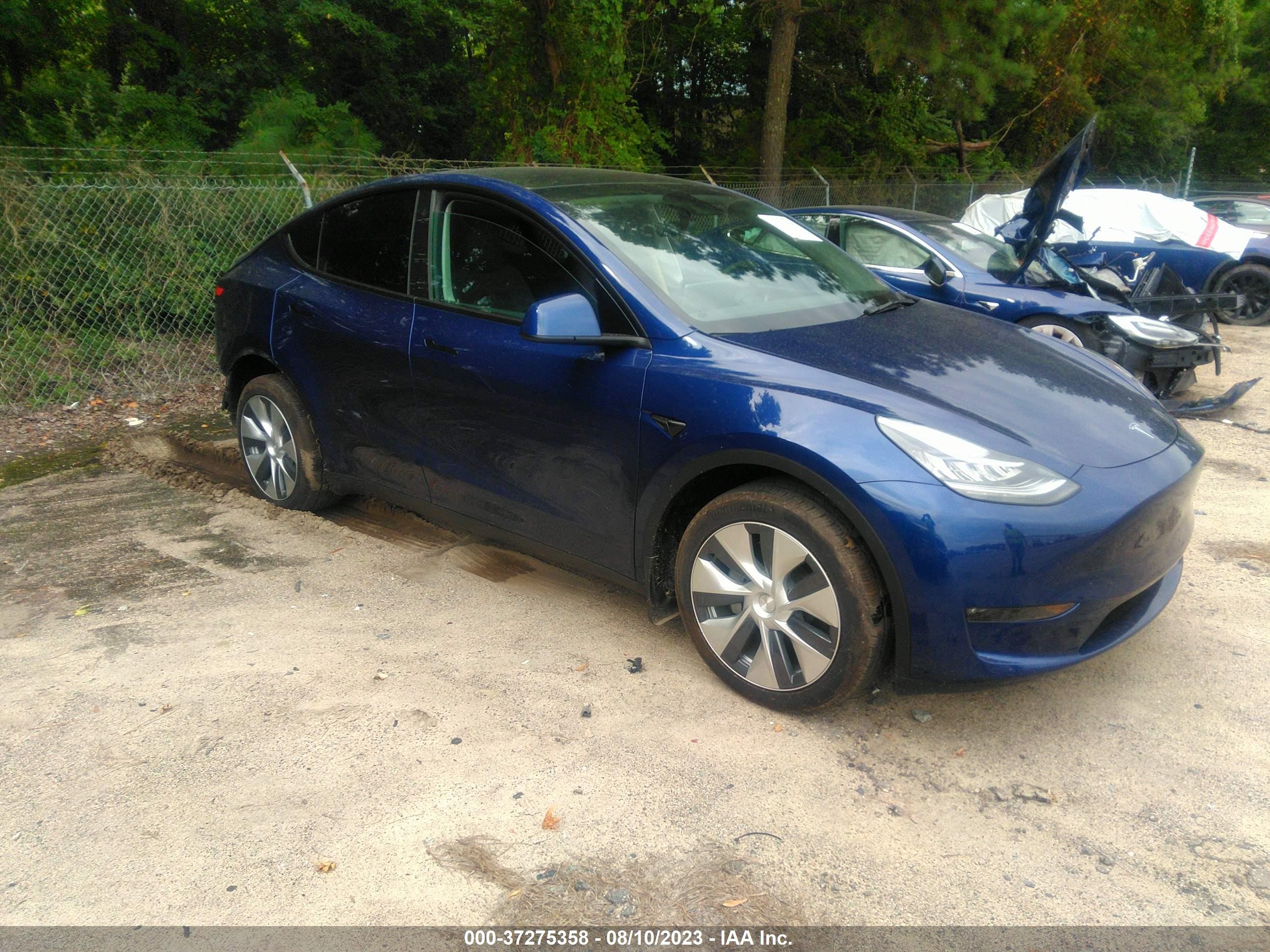 2023 tesla model y