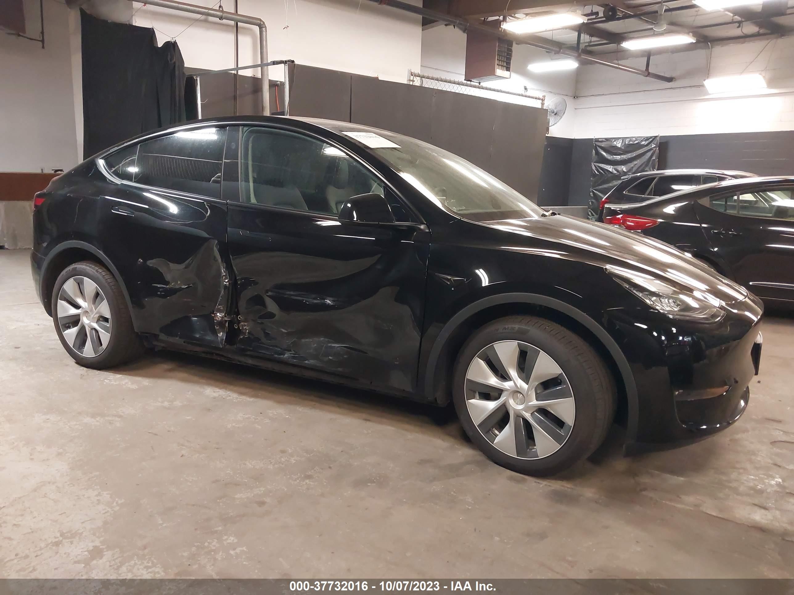 2023 tesla model y