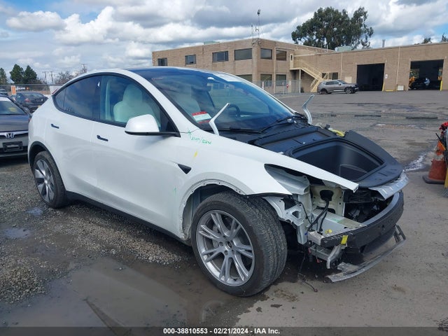 2023 tesla model y