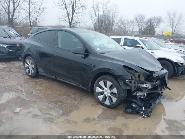 2023 tesla model y