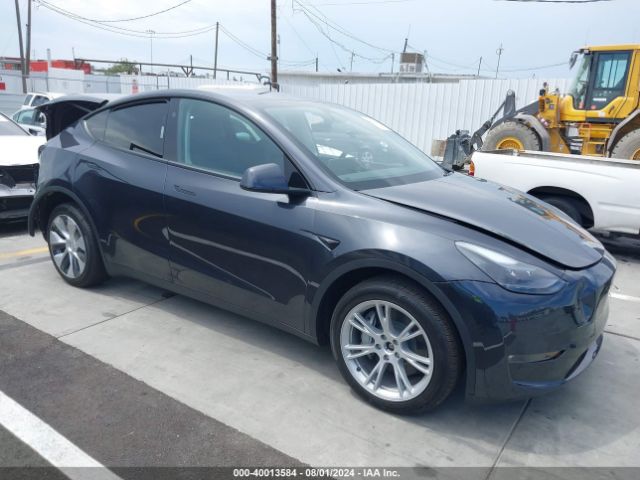 2024 TESLA Model Y