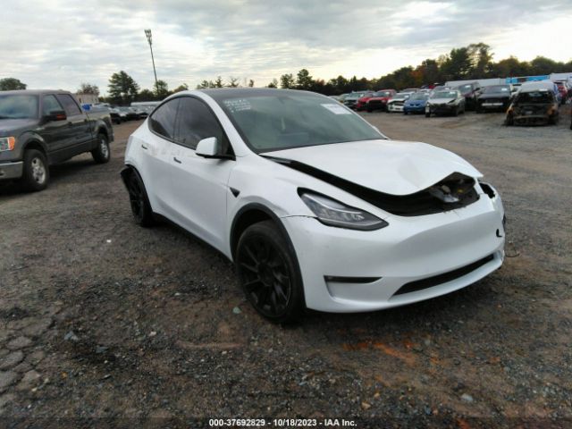 2021 tesla model y