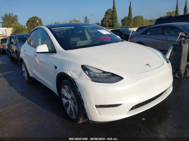 2022 TESLA Model Y