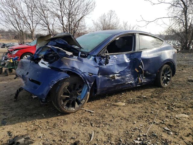 2022 tesla model y