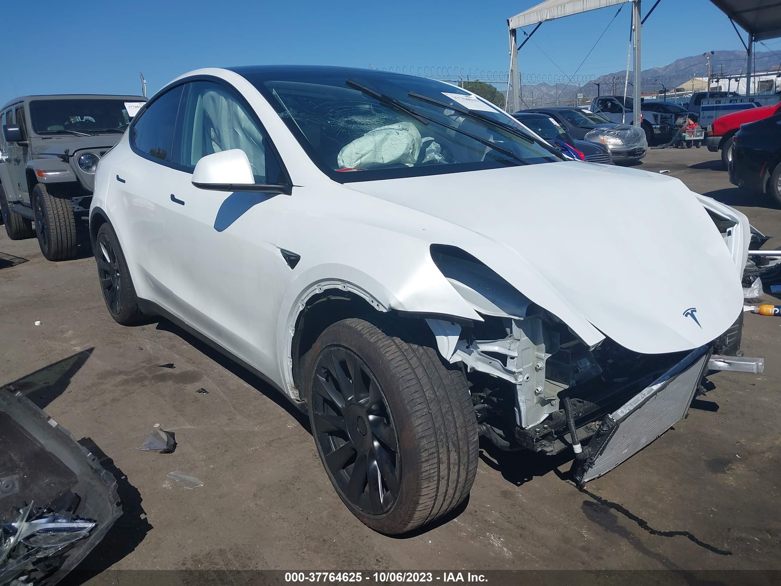 2023 tesla model y