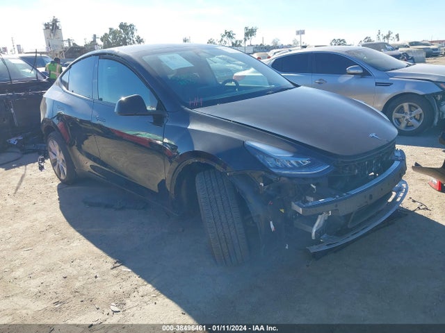 2023 tesla model y