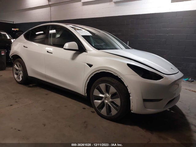 2023 tesla model y