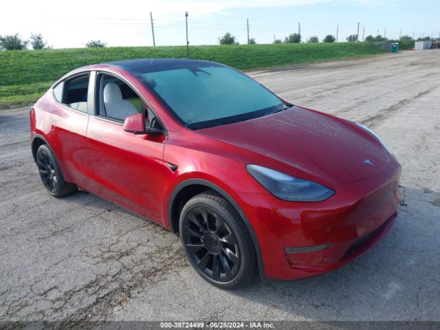 2024 TESLA Model Y