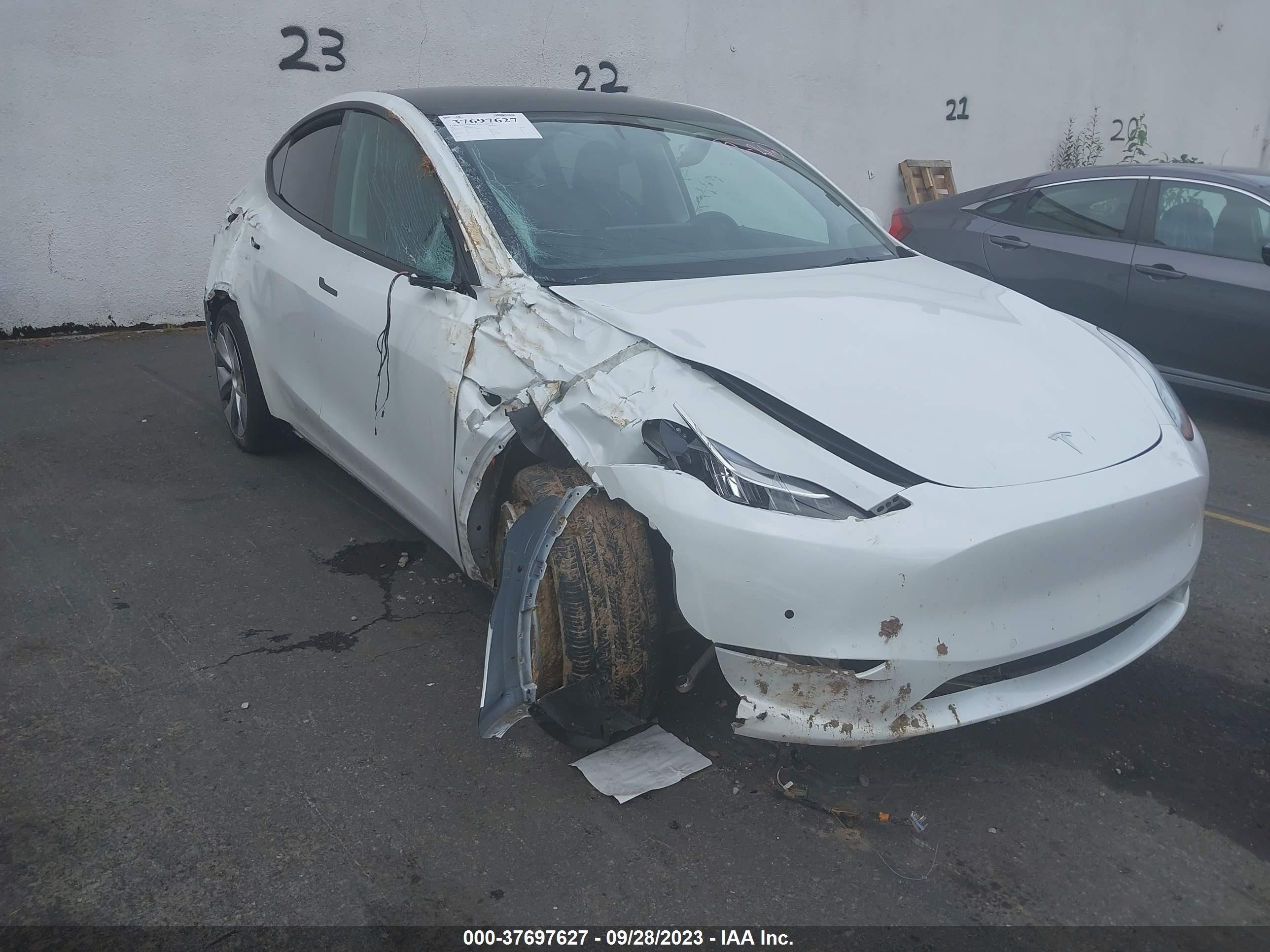 2022 tesla model y