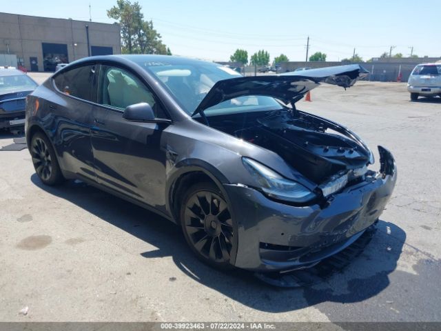 2022 TESLA Model Y