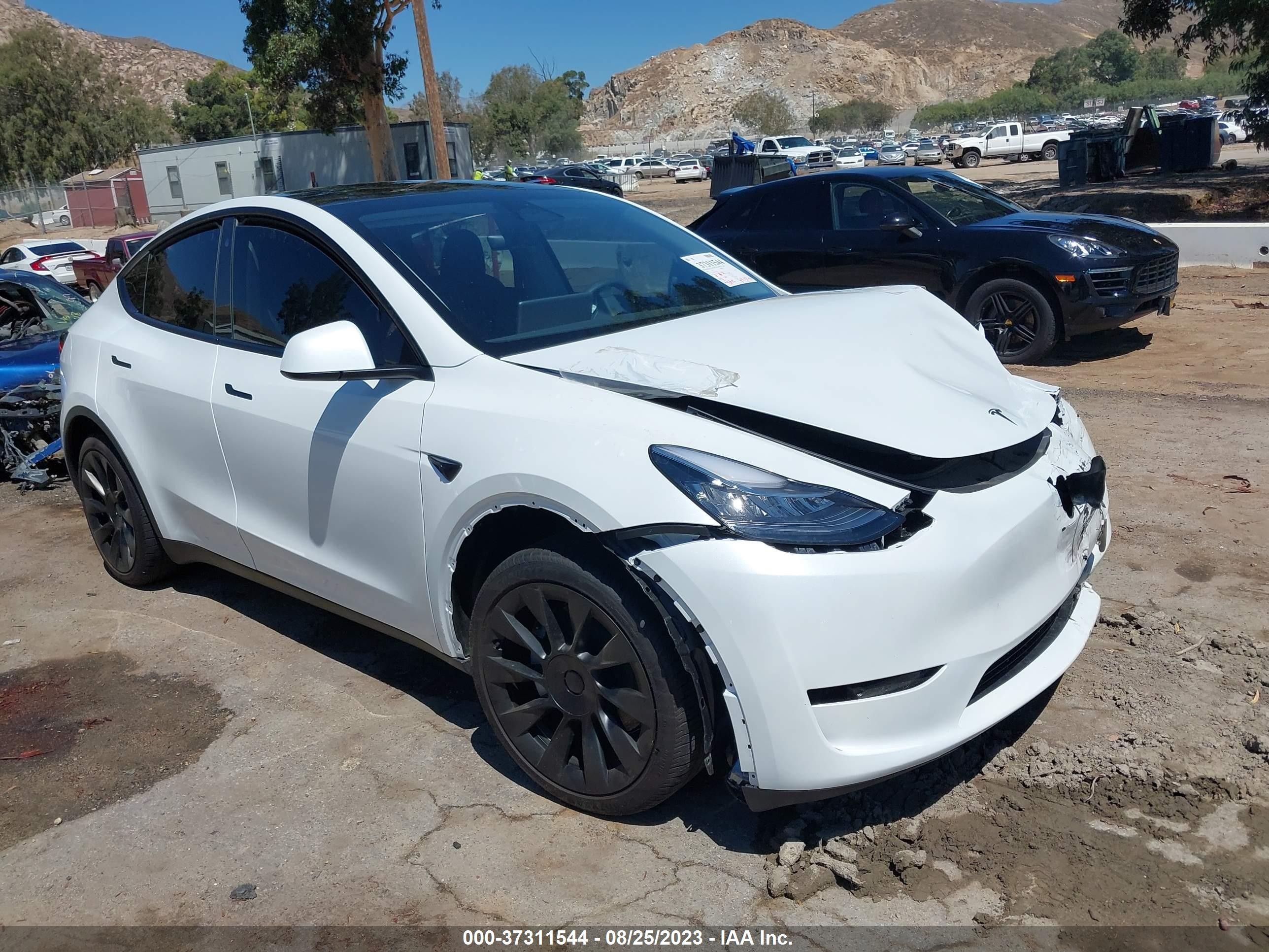 2023 tesla model y