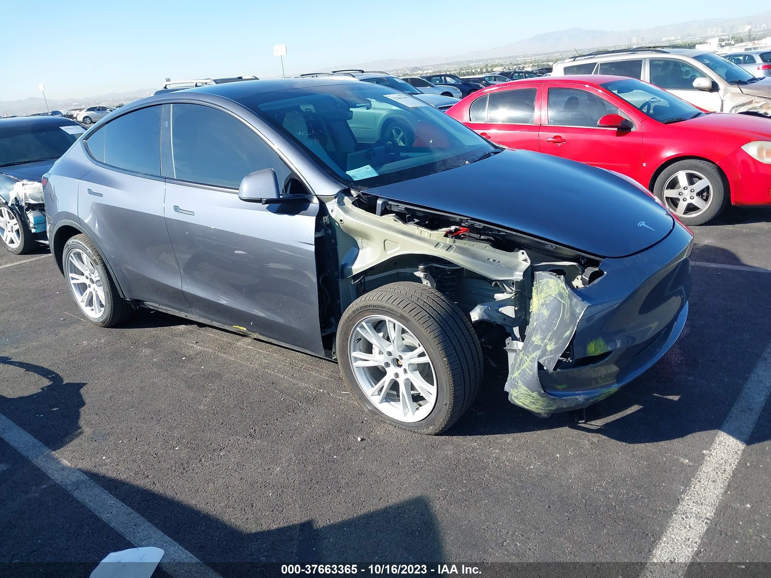 2023 tesla model y