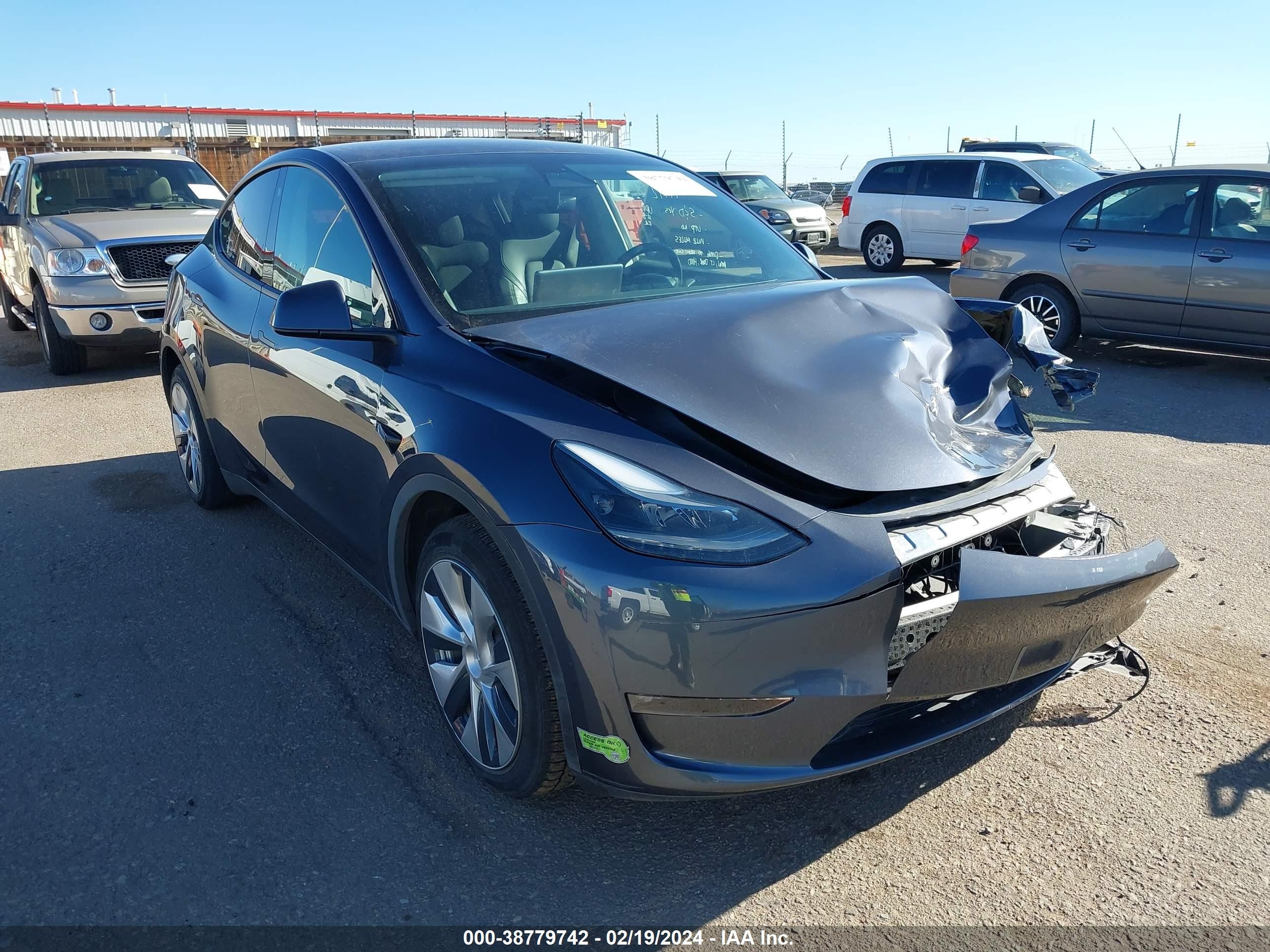 2023 TESLA Model Y