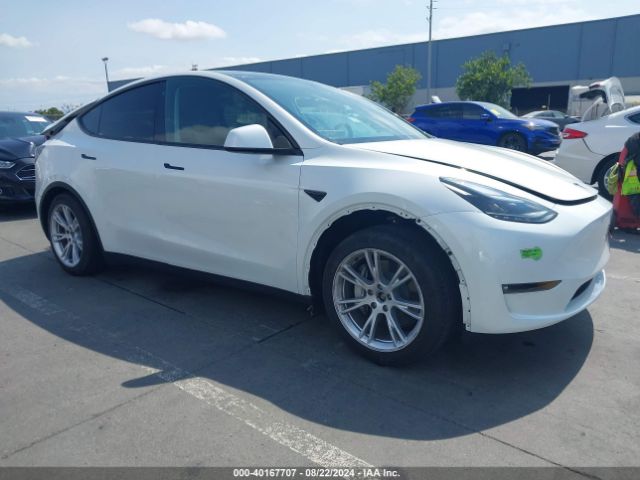 2023 TESLA Model Y