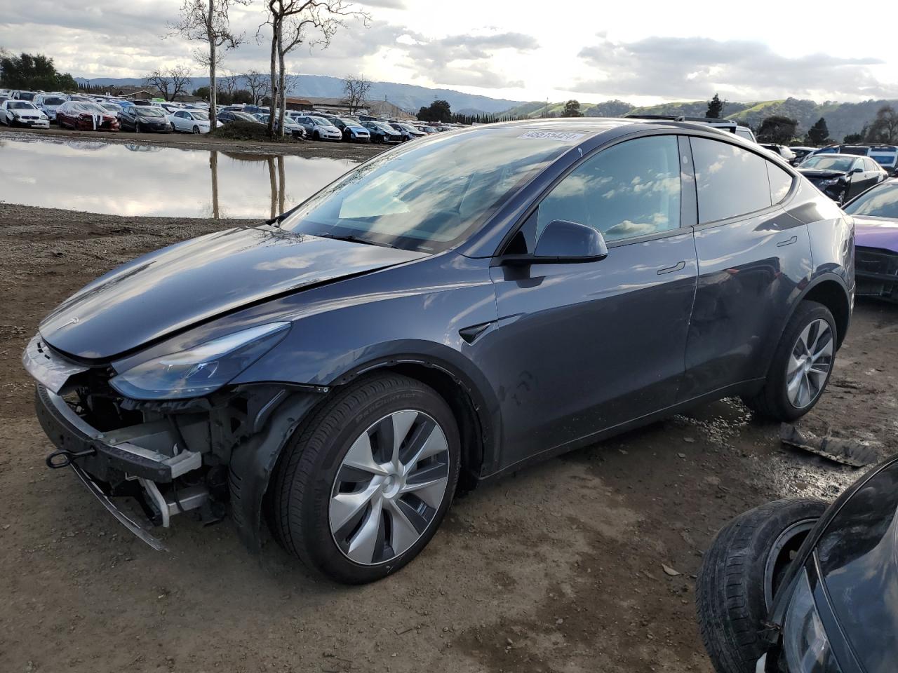 2023 tesla model y