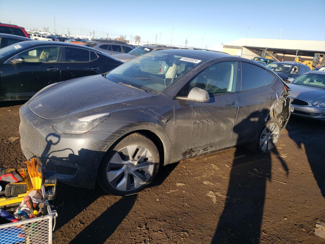 2023 tesla model y