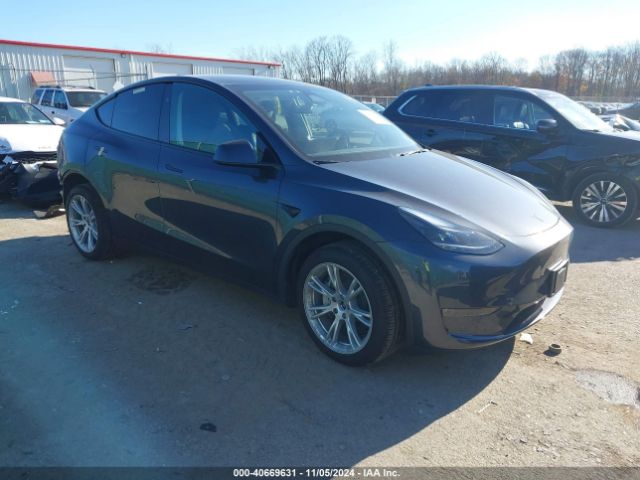 2024 TESLA Model Y
