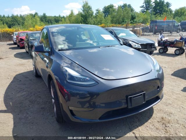2024 TESLA Model Y