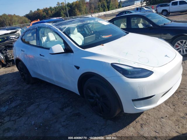 2024 TESLA Model Y