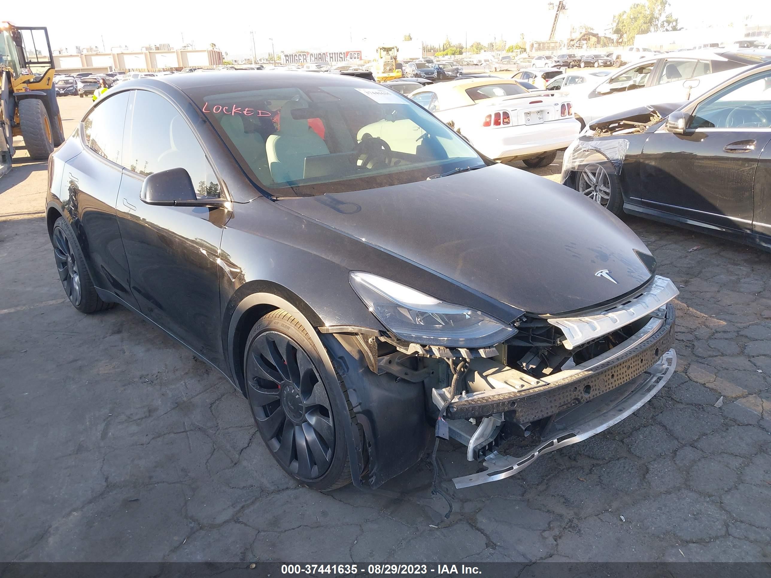 2022 tesla model y