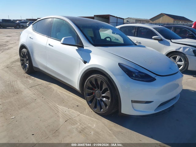 2023 tesla model y